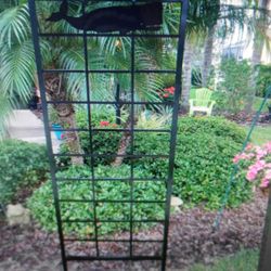Metal Trellis  Plants 78Hx23 IN