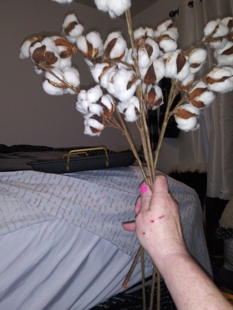 4 Cotton Stems From Michael's