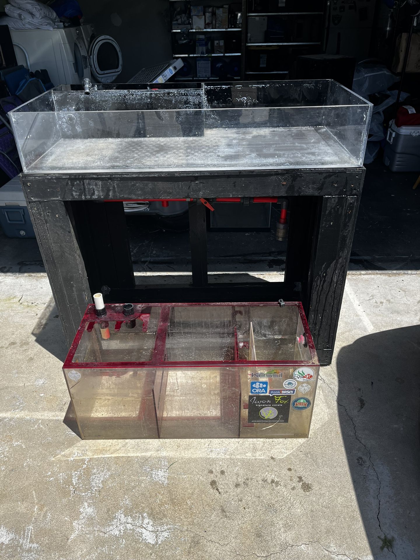 Frag Tank And Sump