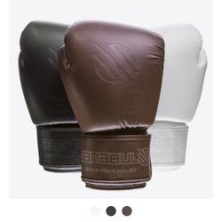 Sanabul Leather boxing gloves [ STILL ABAILABLE 8/22/21]