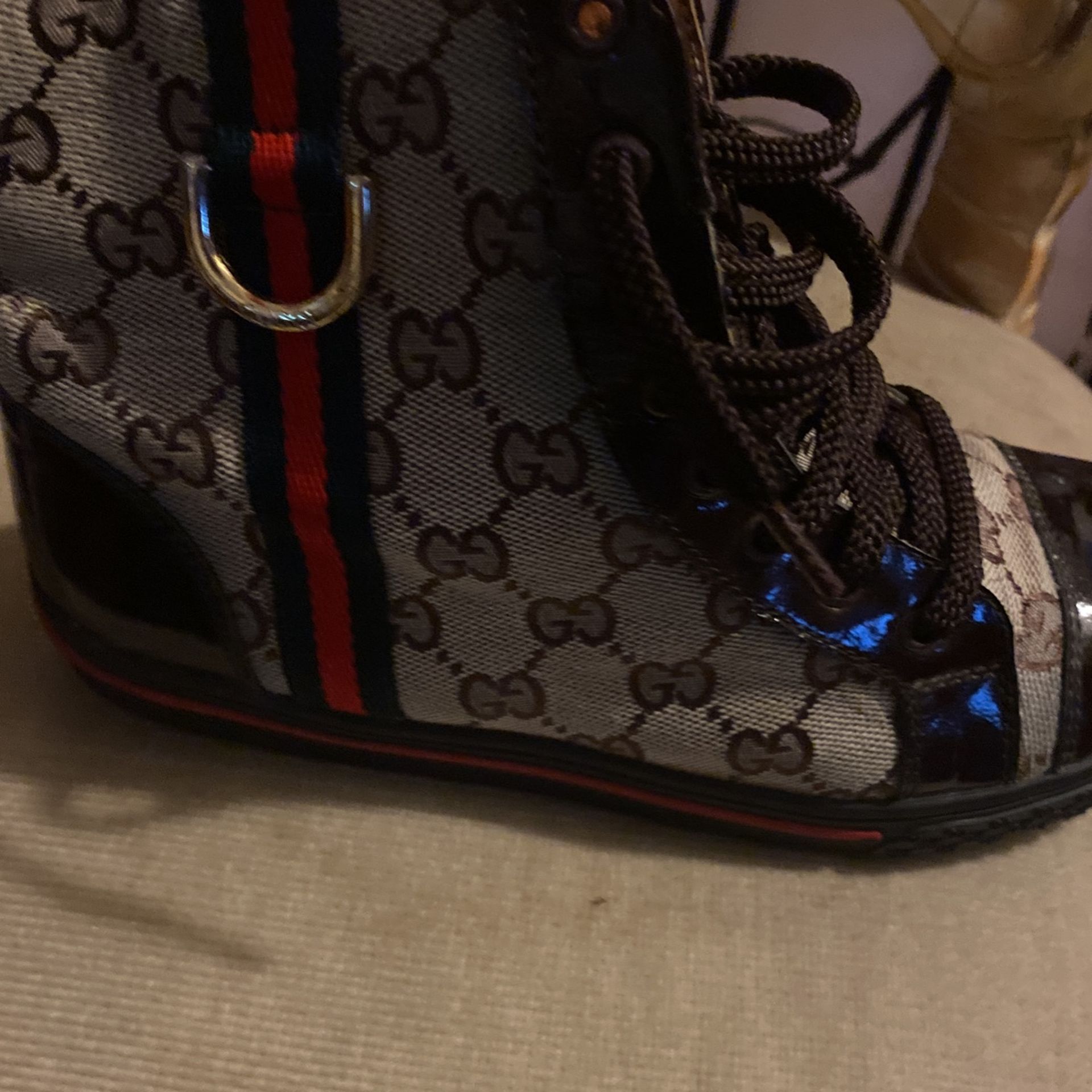 Gucci Gym Shoes
