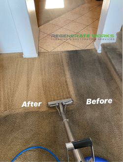 Upholstery Cleaner Paradise Valley