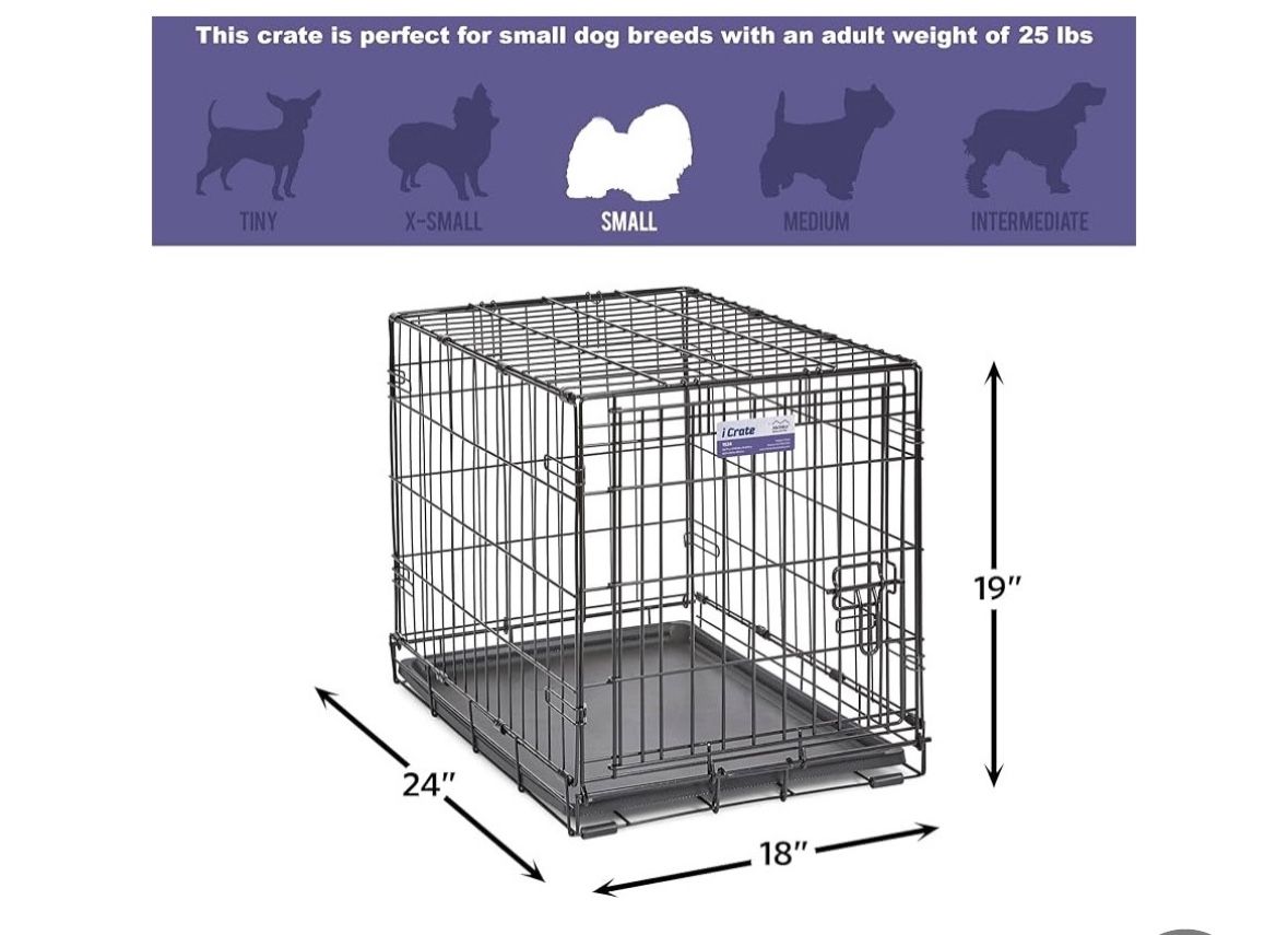 Brand New Dog Essentials 