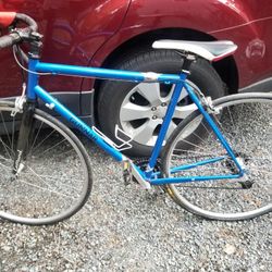 Gunnar Travel Road Bike