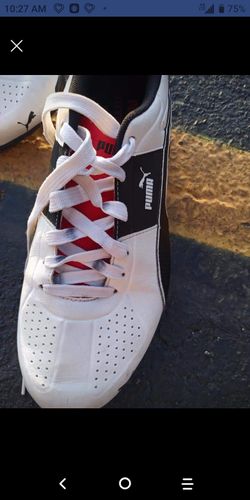 Tenis