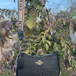Black Coach Purse