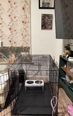 Large Dog Crate and Divider