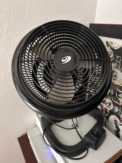 Fan