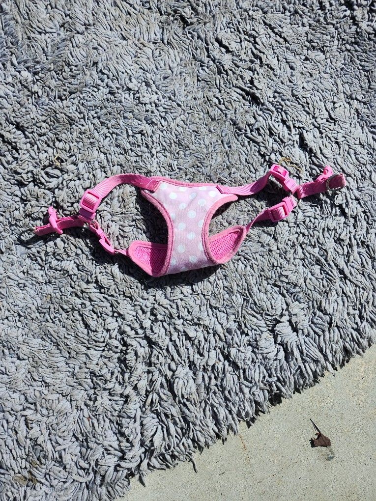 Free Girl Dog Harness
