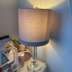 Vintage Lucite Table Lamp:/light Pink Shade