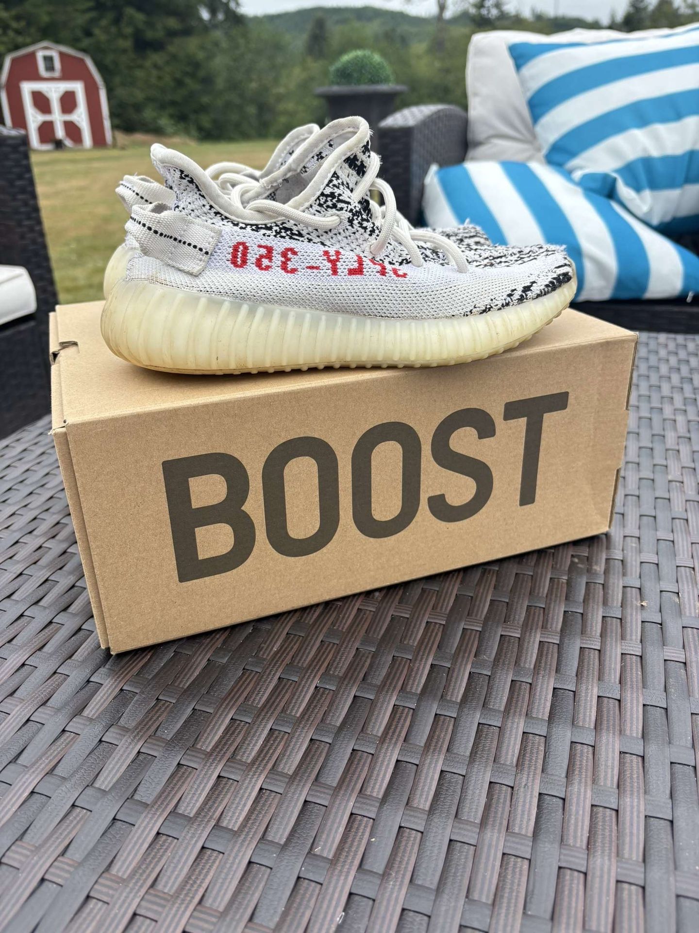 Adidas Zebra Yezzy Size 4