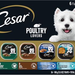 Cesar Wet Dog Food Poultry Lovers Variety, 3.5 oz. (36 Count)