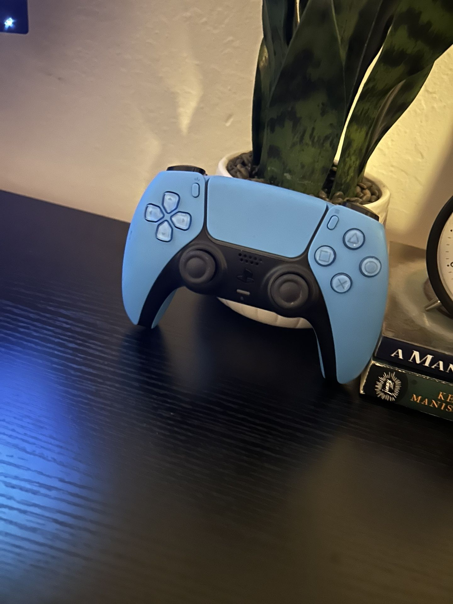 Ps5  Controller 