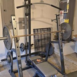 Apex cage system w/ weights and bar
