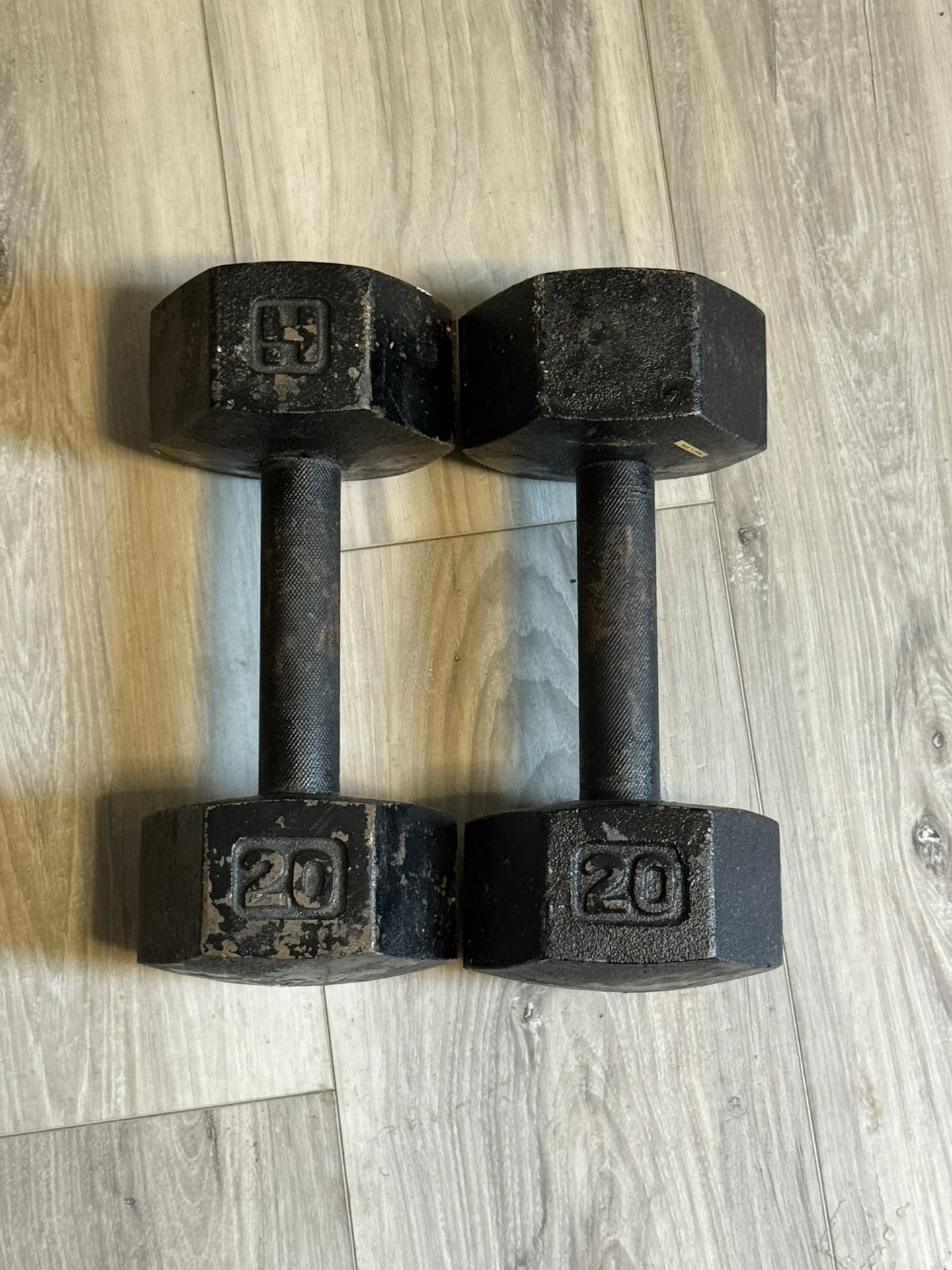 20lb Dumbbells