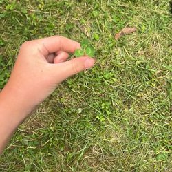 Four Leaf Clovers Are Out Three Leaf Clovers Are In Limited Stock. Get Yours Now.