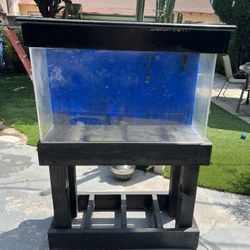 Fish Tank For Sell 