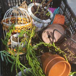 Everything for 10 dollar’s