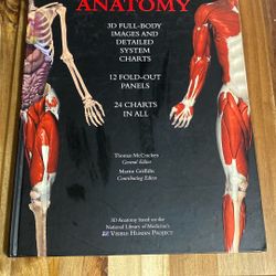 Wall Chart Of Human Anatomy