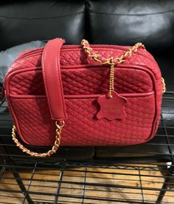 $45, Giani Bernini women’s purse
