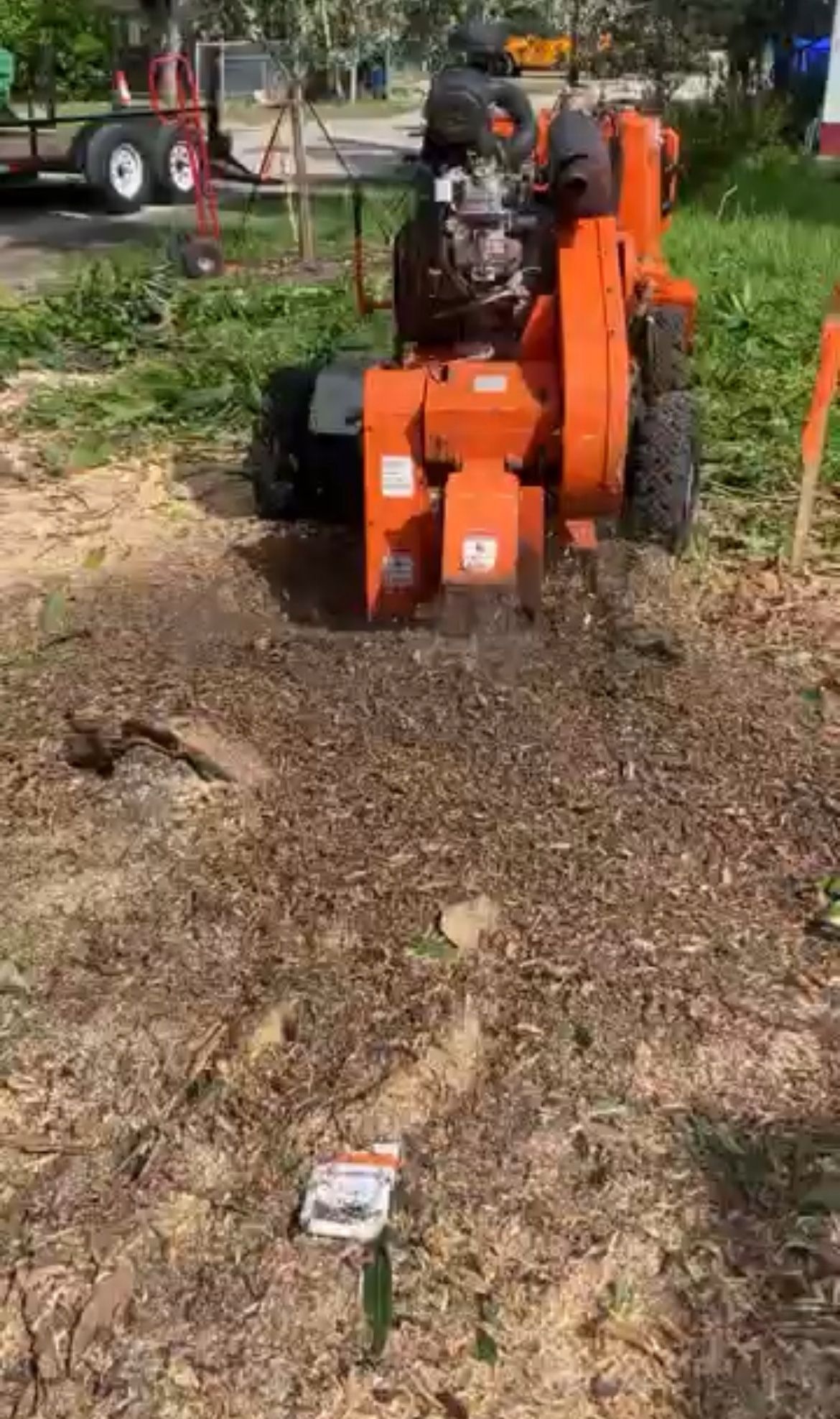 Stump Grind