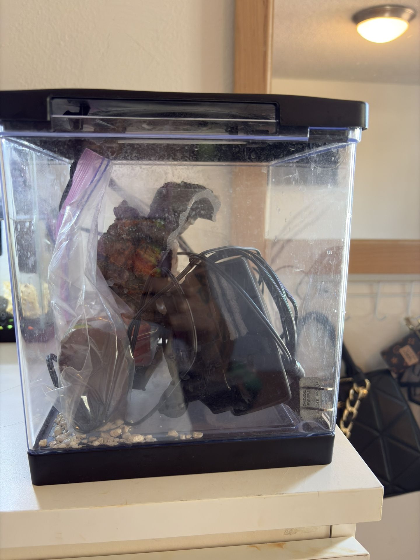 Fish Tank