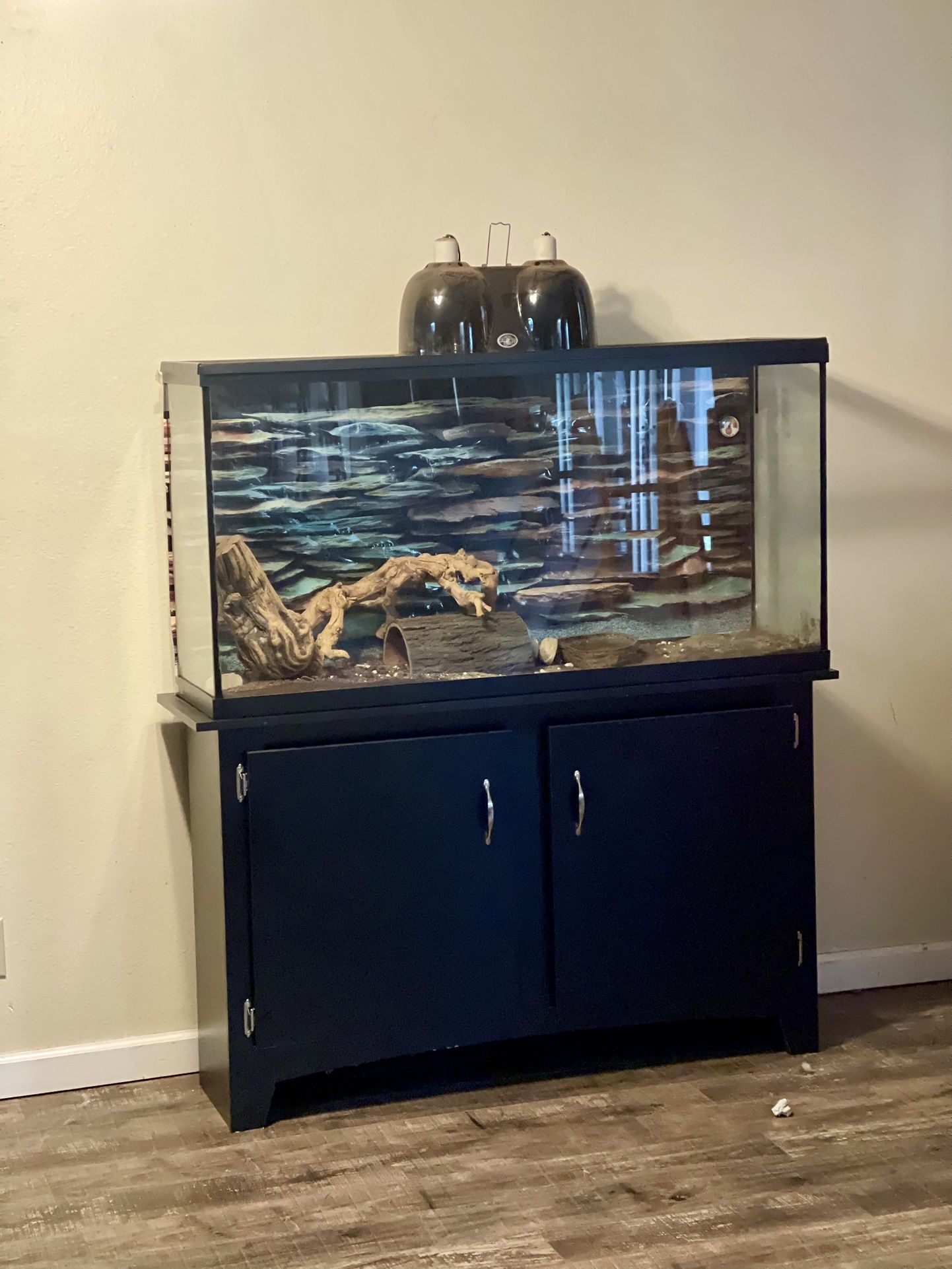 60 Gallon Reptile Tank with Stand Ensemble