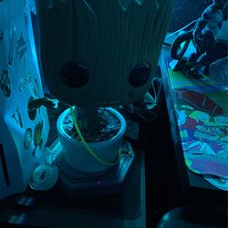 Groot Pop