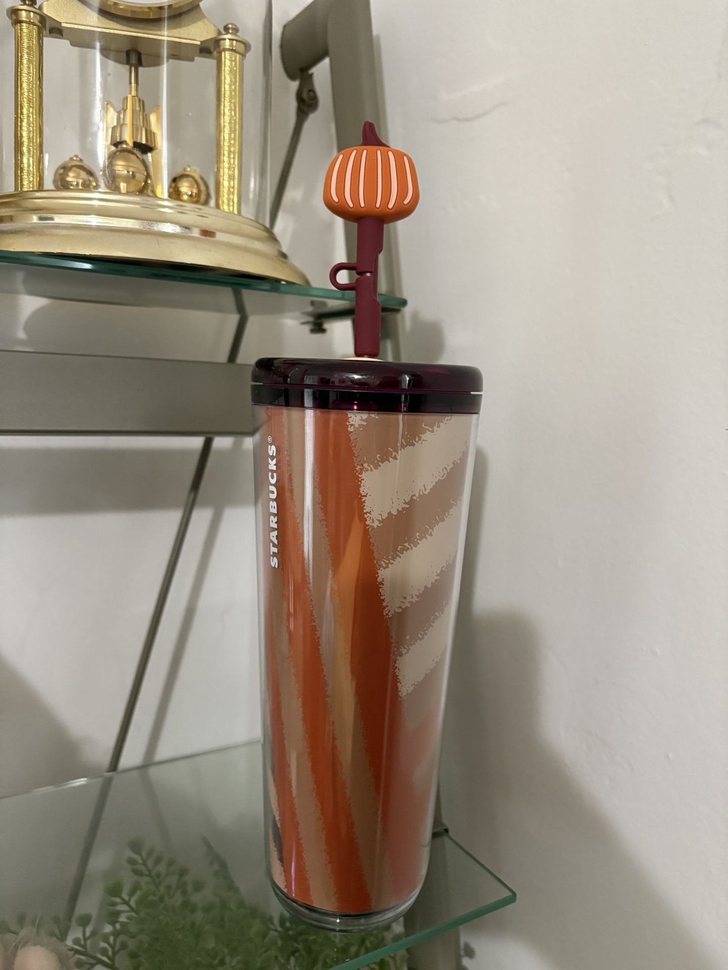 2025 Starbucks Newest Release Tumblers