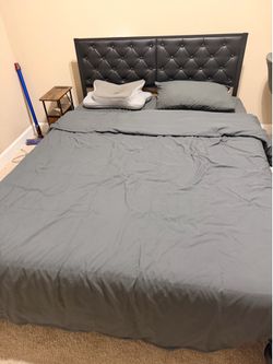 Queen Bed
