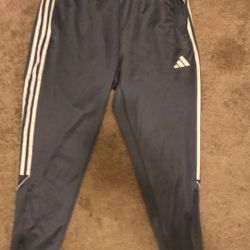 Adidas Tiro 23 (gray)