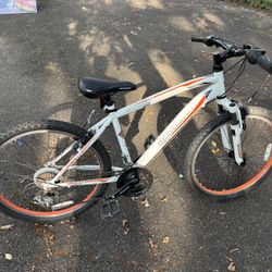 24” Schwinn Mountain Bike