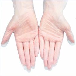 Wholesale  Vinyl Gloves