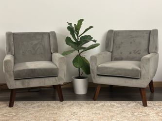 Modern Set of 2 Velvet Chairs