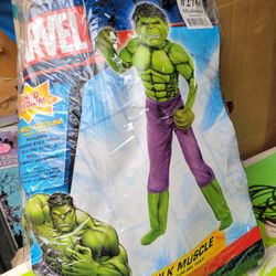 Incredible Hulk Costume