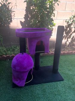 Cat house
