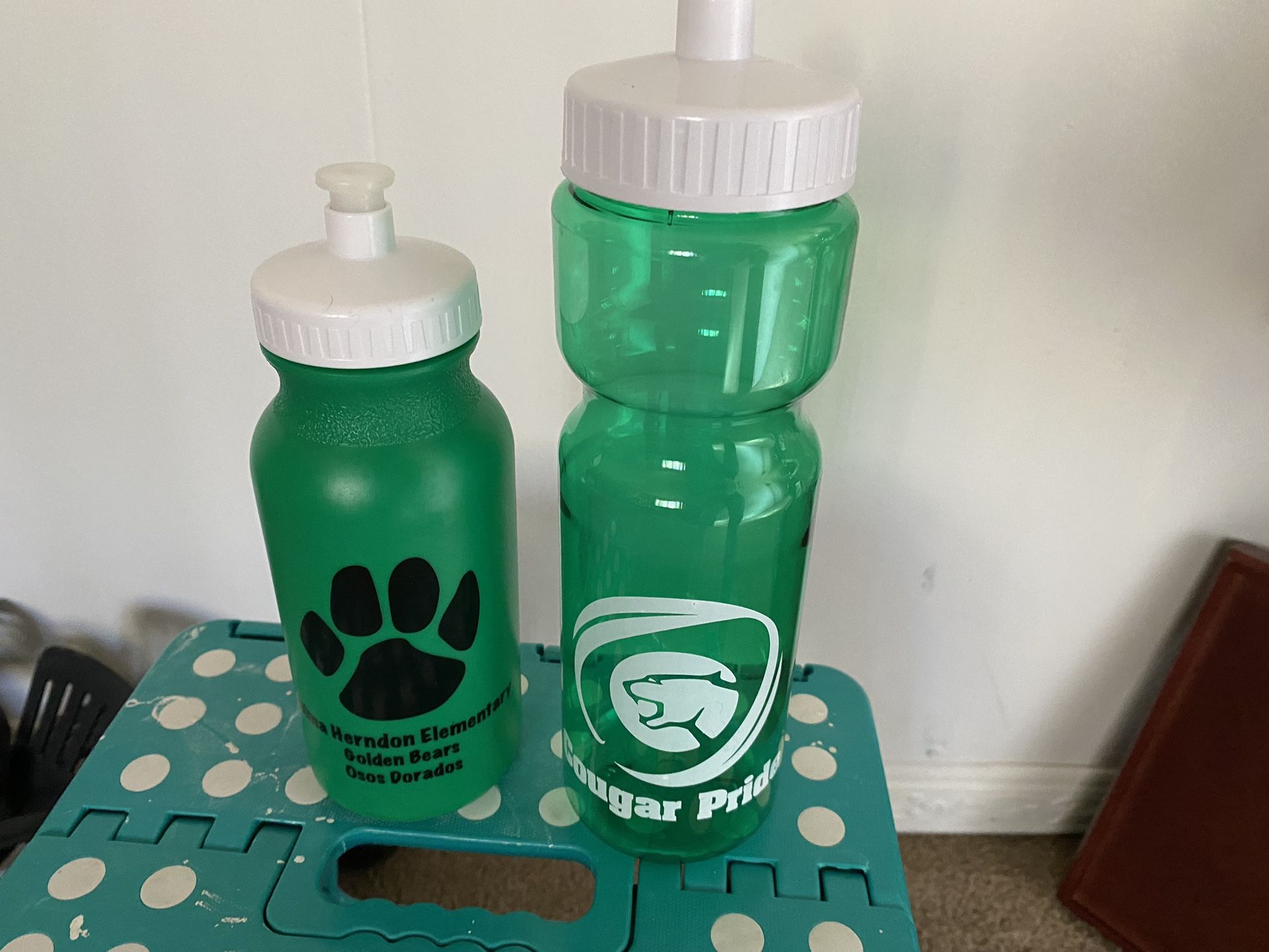 Livingston Middle School Water Bottles