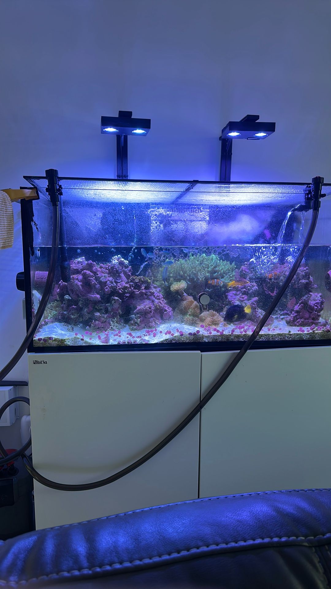 Redsea reefer 425 XL (Tank Only) 1300 OBO