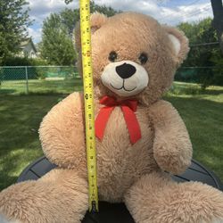 19 In Teddy Bear 