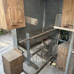 Bird Cage Stack Of 2