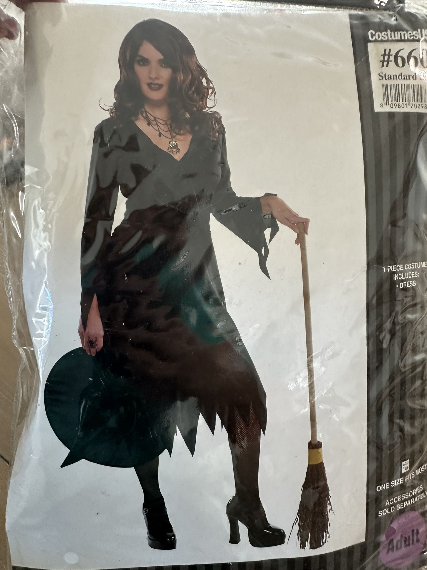 Halloween Adult Costume Wicket Witch Dress