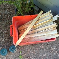 Plant Stakes / Labels 