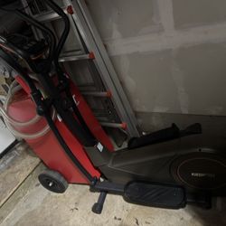 Niceday Elliptical 