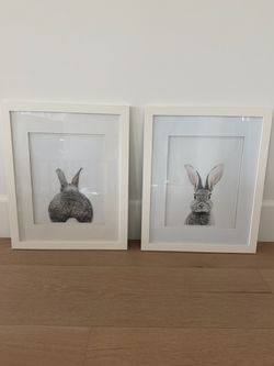 Framed bunny prints