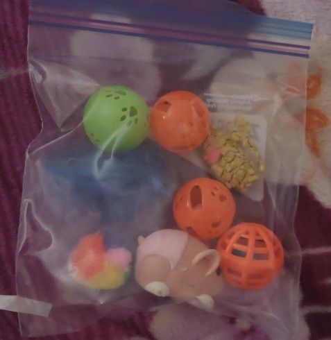 CAT TOYS