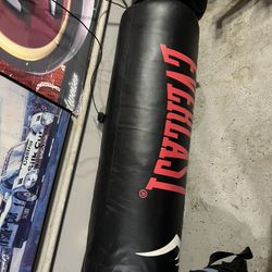 Everlast 100 Lb Punching Bag