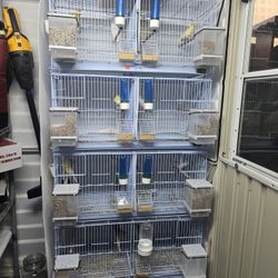 Criadoras Para Canarios 