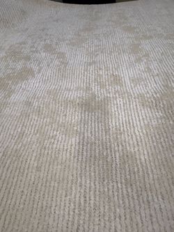 Cream/Off White Surya Area Rug 8x10