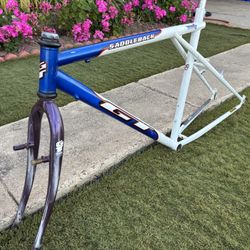 GT Saddleback frameset