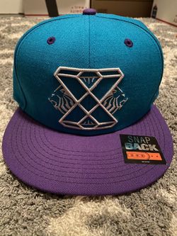 Rare Lebron James Snapback